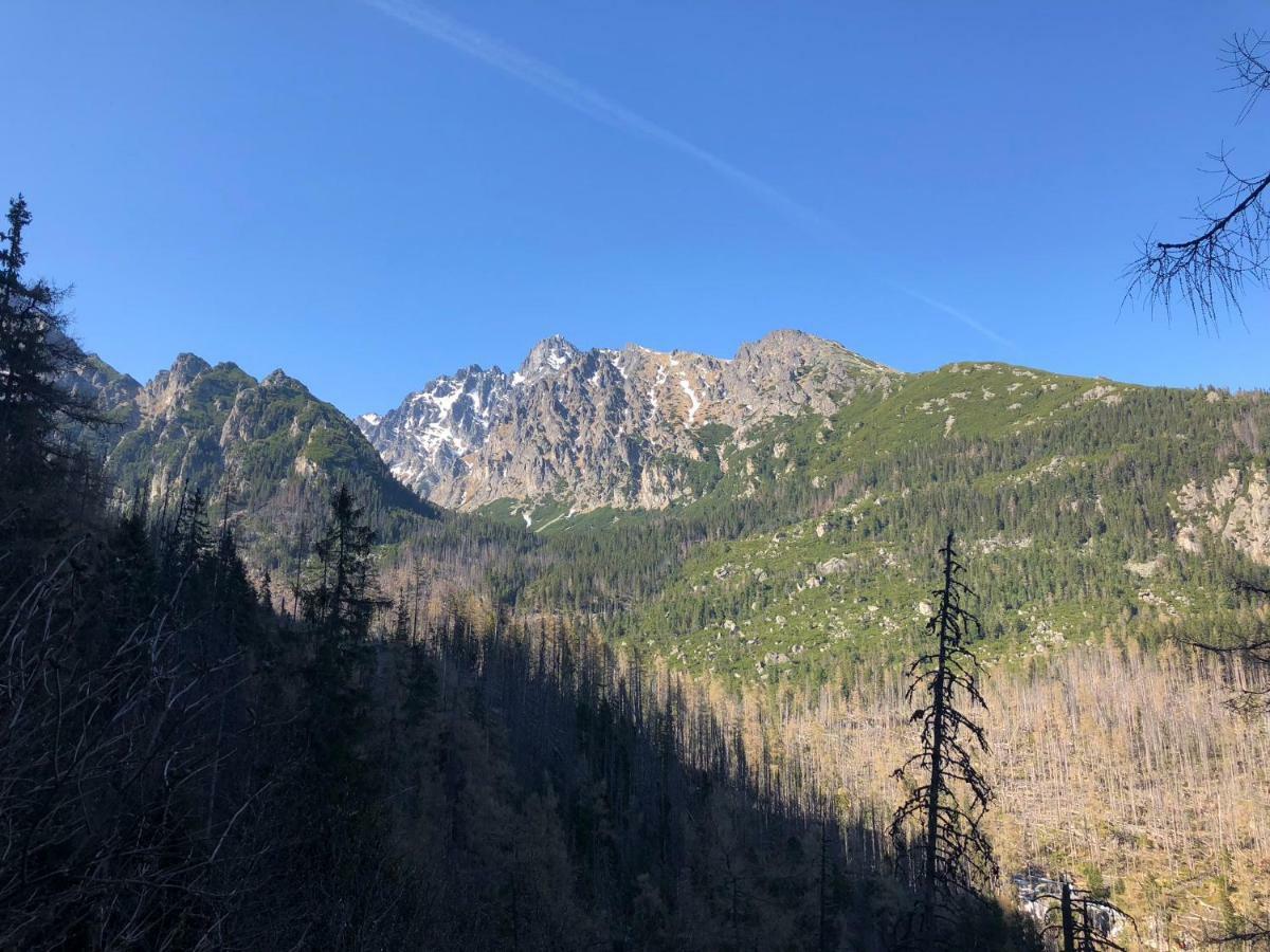 Vila Horec, Vysne Hagy Vysoké Tatry Kültér fotó