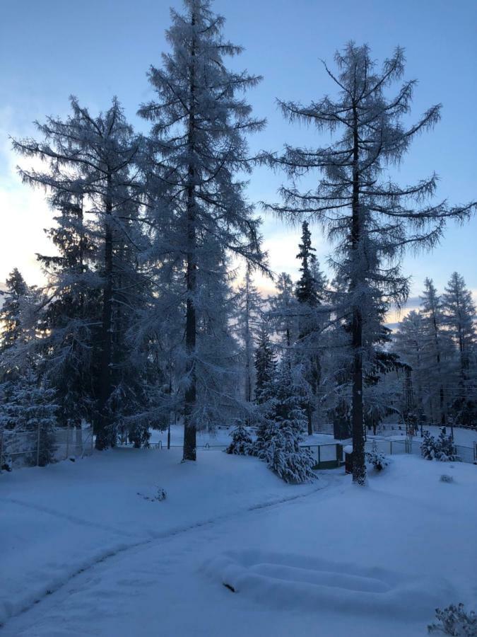 Vila Horec, Vysne Hagy Vysoké Tatry Kültér fotó